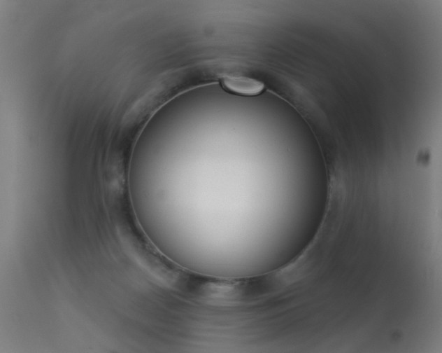 X0000113360170200909221208