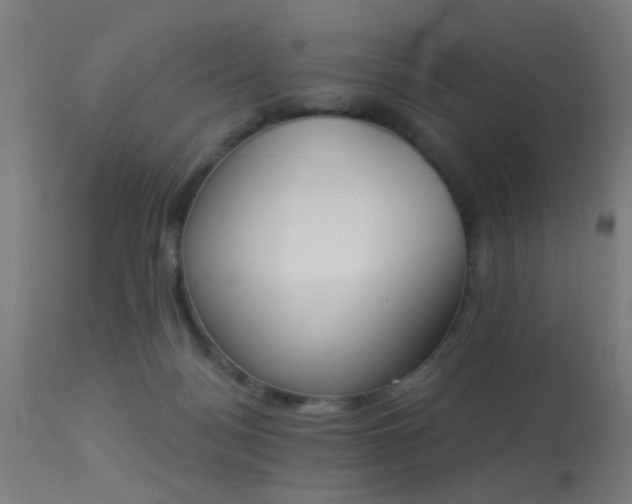 X0000113360172200909221208