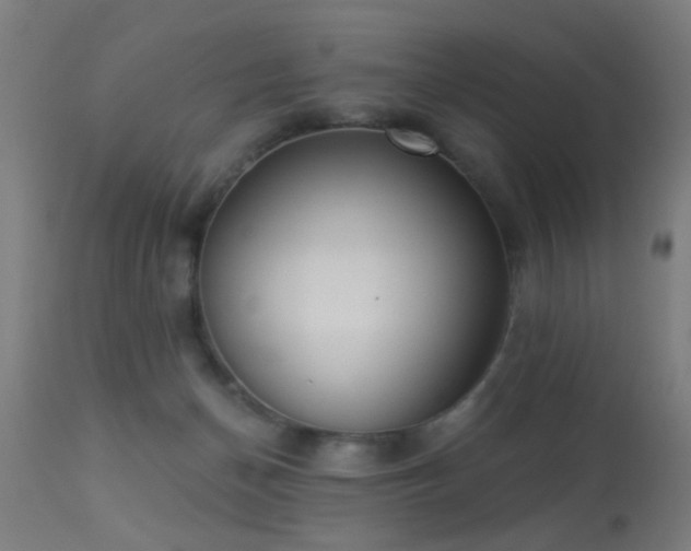 X0000113360174200909221208