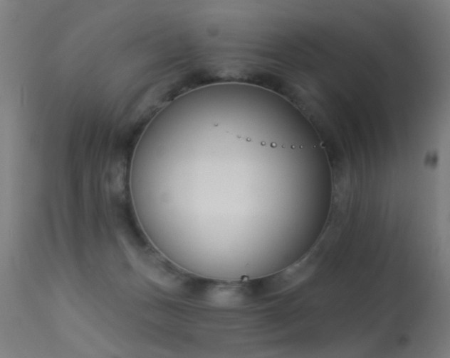 X0000113360175200909221208