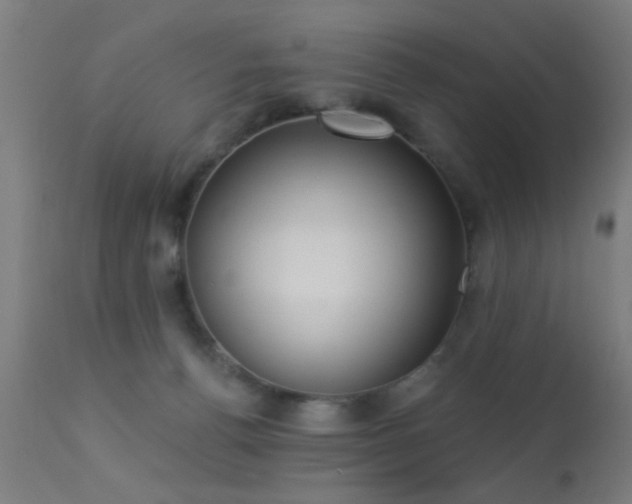 X0000113360176200909221208