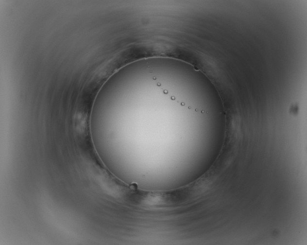 X0000113360177200909221208