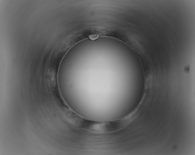 X0000113360178200909221208