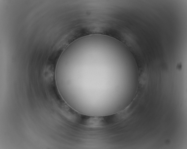 X0000113360179200909221208