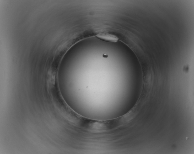 X0000113360180200909221208