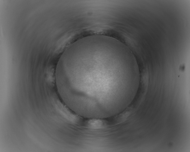 X0000113360181200909221208