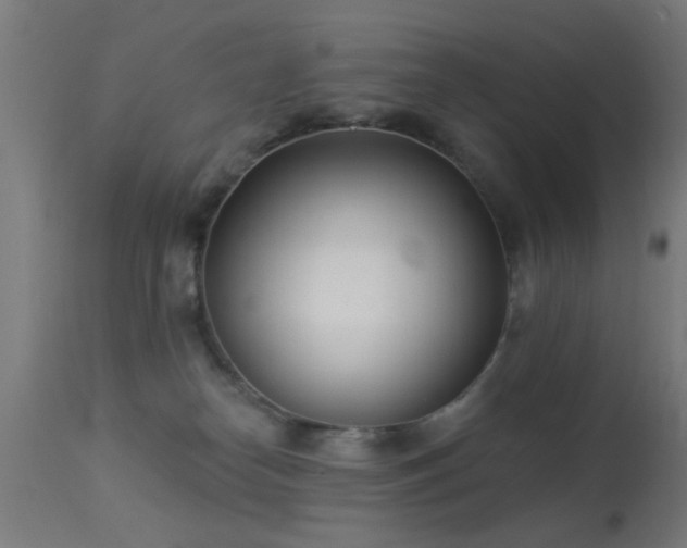 X0000113360182200909221208