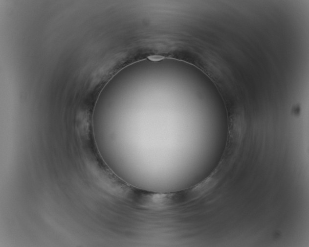 X0000113360184200909221208