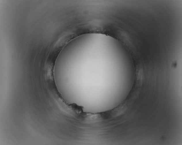 X0000113360185200909221208