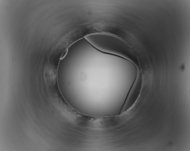 X0000113360186200909221208