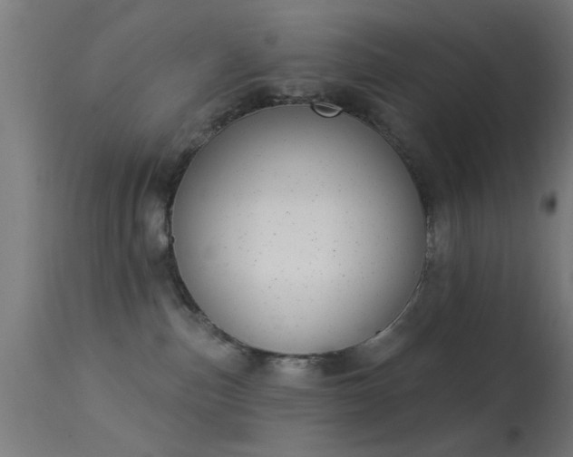 X0000113360187200909221208
