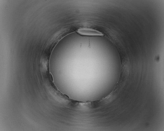X0000113360188200909221208