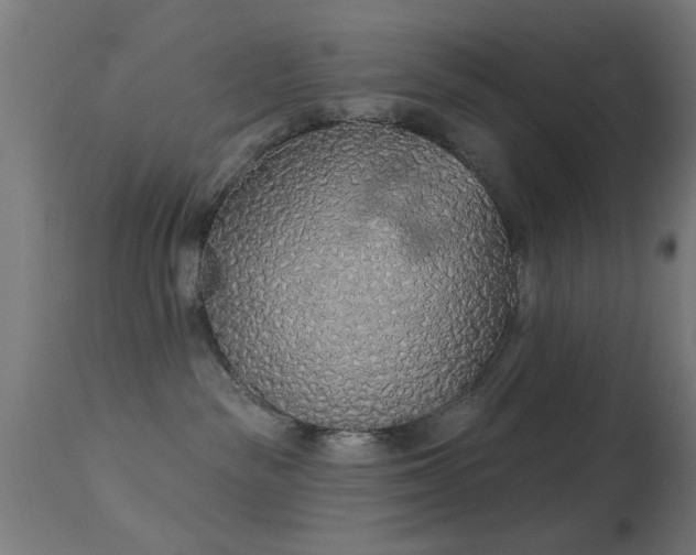 X0000113360189200909221208