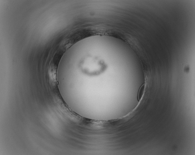 X0000113360190200909221208