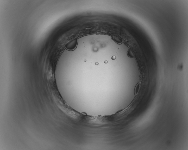 X0000113360191200909221208