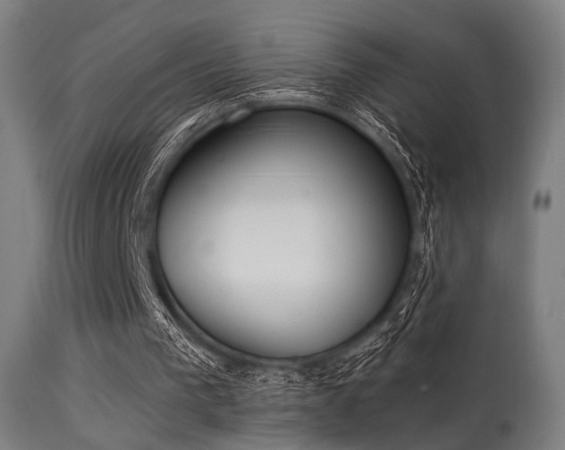 X0000113360193200909221207