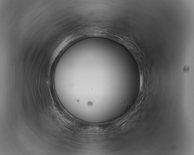 X0000113360195200909221207