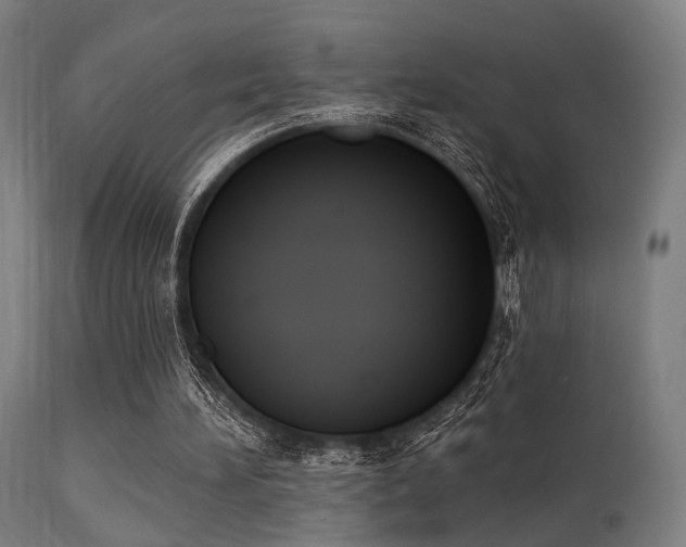 X0000113360196200909221207