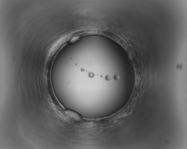 X0000113360197200909221207