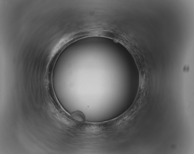 X0000113360198200909221207
