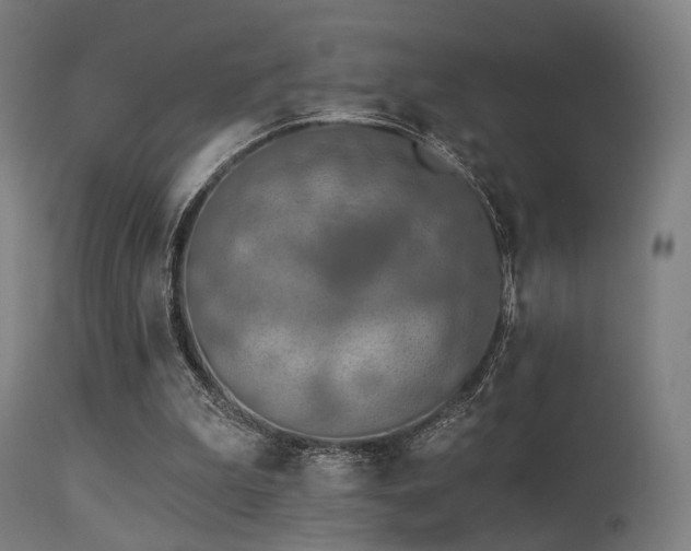 X0000113360199200909221207
