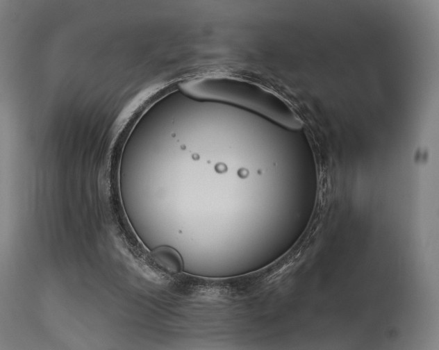 X0000113360200200909221207