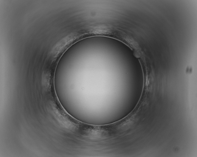X0000113360201200909221207