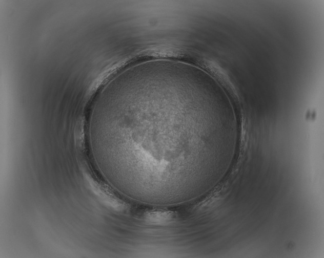 X0000113360202200909221207