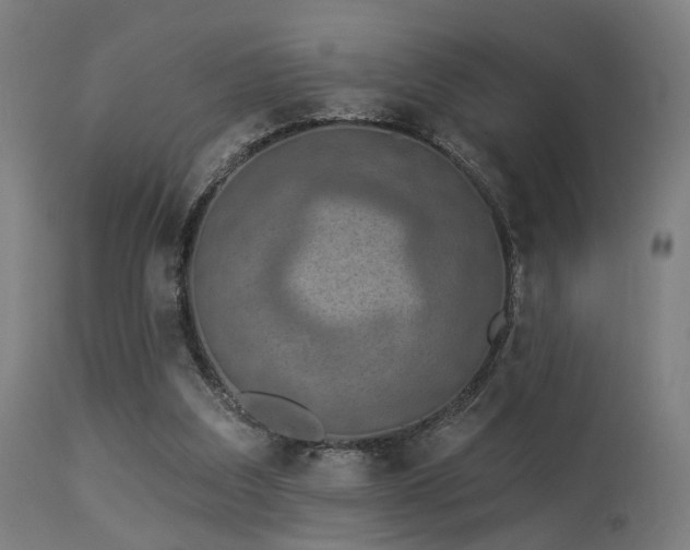 X0000113360203200909221207