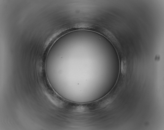 X0000113360204200909221207
