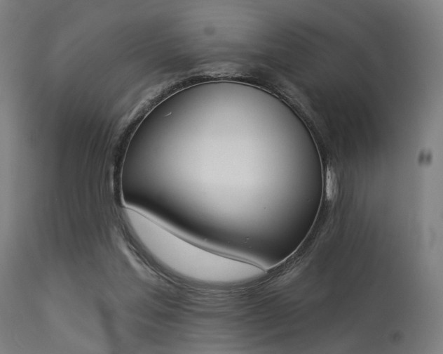 X0000113360205200909221207