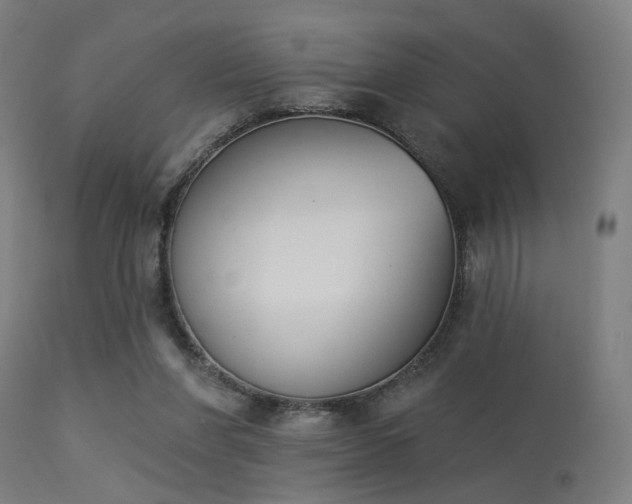 X0000113360206200909221207