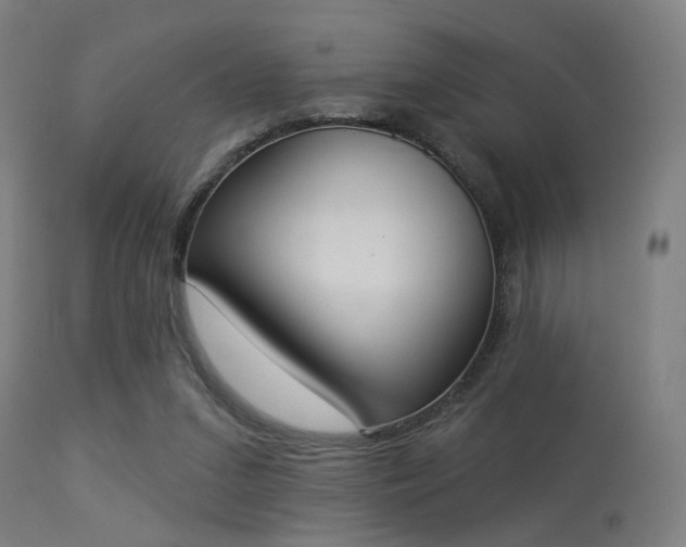 X0000113360207200909221207
