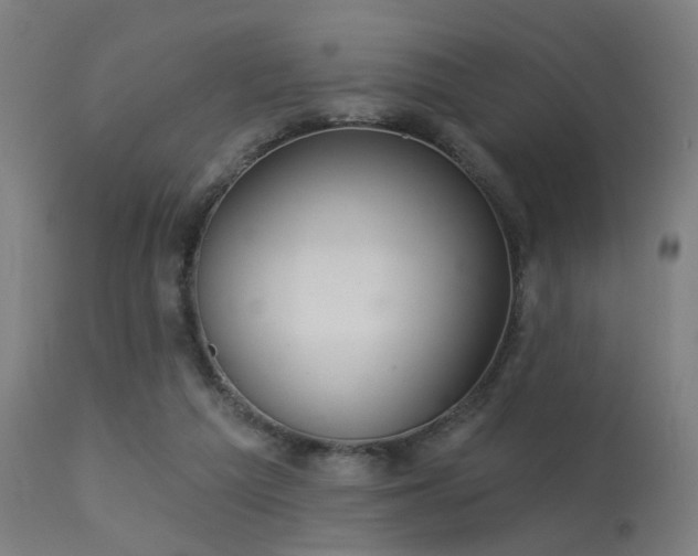 X0000113360209200909221207