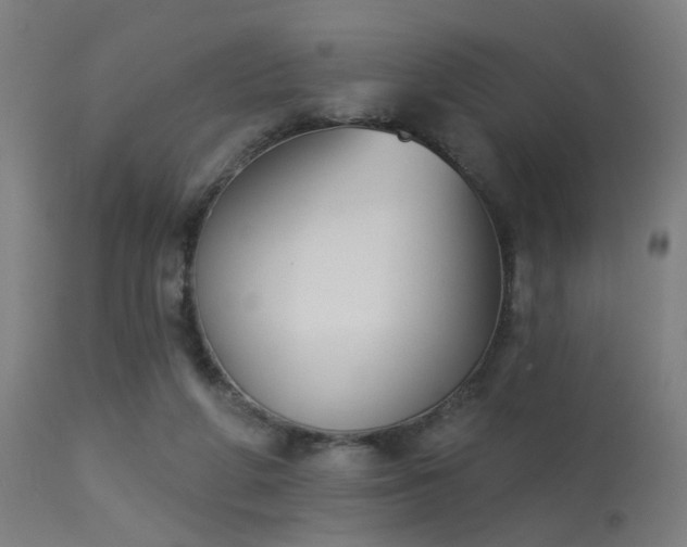 X0000113360210200909221207