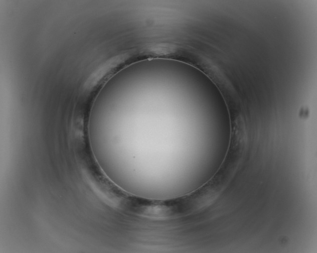 X0000113360212200909221207