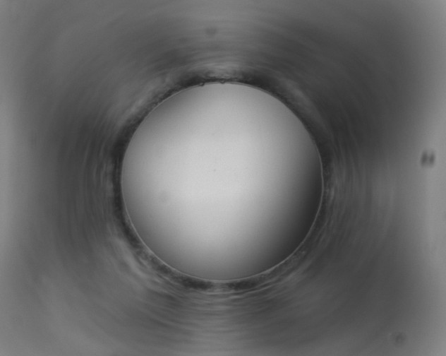 X0000113360213200909221207