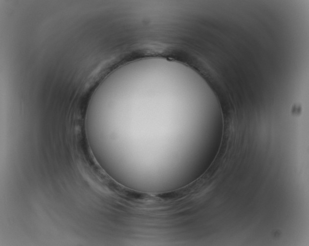 X0000113360215200909221207