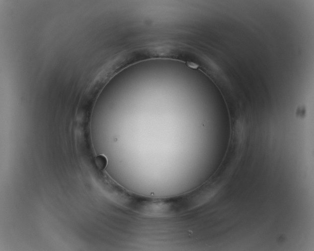 X0000113360217200909221207