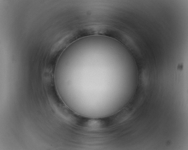 X0000113360218200909221207