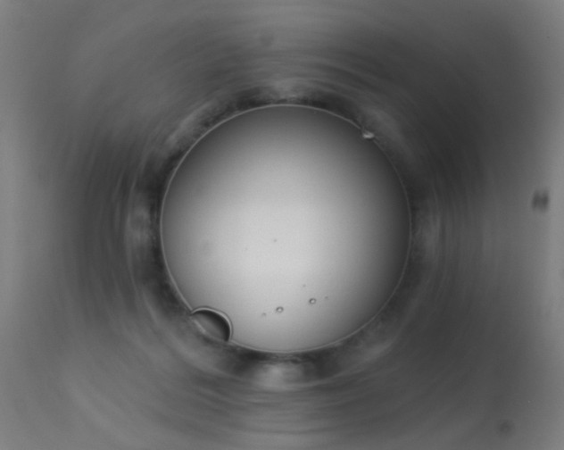X0000113360220200909221207