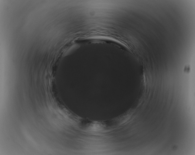X0000113360223200909221207