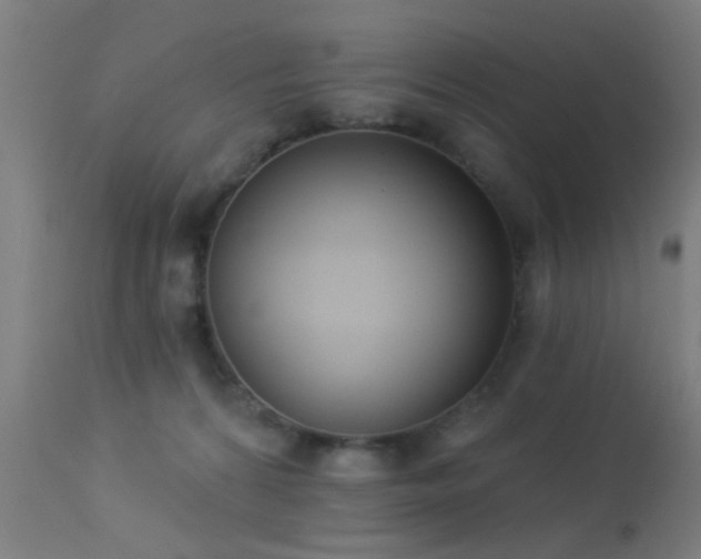 X0000113360224200909221207