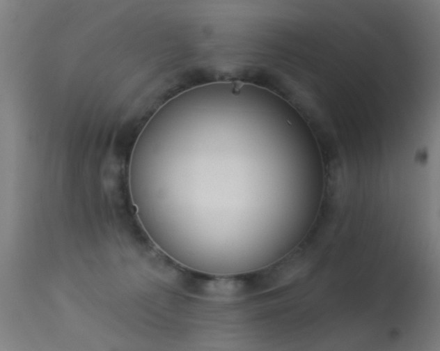 X0000113360225200909221207