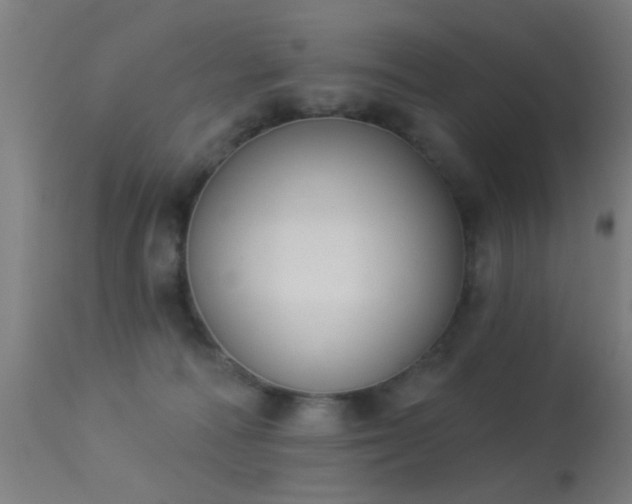 X0000113360226200909221207