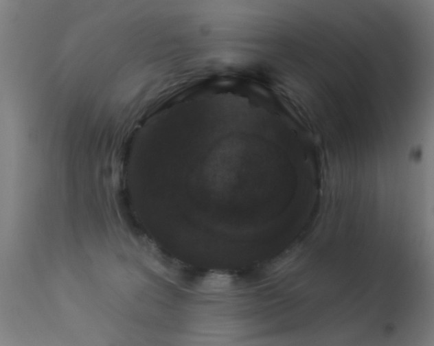 X0000113360227200909221207