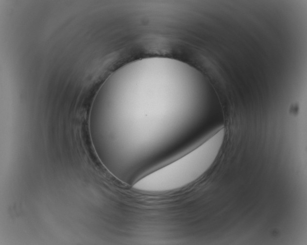 X0000113360229200909221207