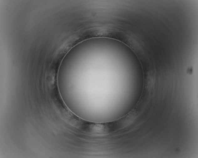 X0000113360230200909221207