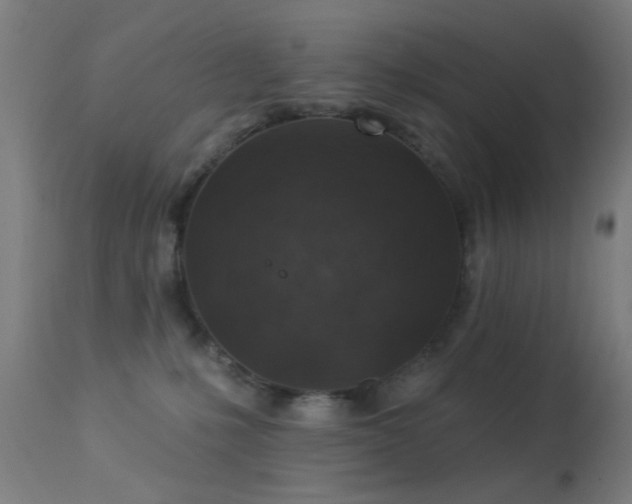 X0000113360231200909221207
