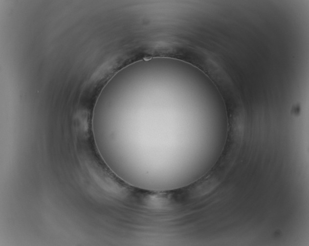 X0000113360232200909221207